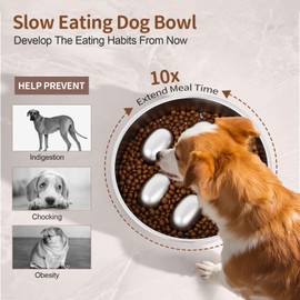 GLYVIAN Slow Feeder Dog Bowls Stainless Steel with Non-Slip Silicone Base Metal Bowl 2 Cups Heavy Duty Large Capacity Slow Feed for Small, Medium, Large Breed Dogs to Slow Down Eating