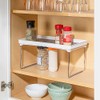 Home Basics Foldable Rubber Lined Plastic Kitchen Organizer Rack (1)