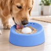 Slow Feeder Dog Bowl for Treats – 3/4 Cup Round