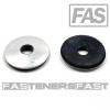 FAS (50) 5/16 x 1-1/8 OD Stainless Steel Washer EPDM
