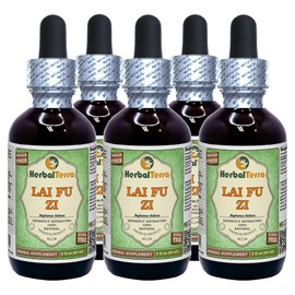 Lai Fu Zi, Radish (Raphanus Sativus) Glycerite, Organic Dried Seed Alcohol-Free Liquid Extract (Brand Name: HerbalTerra, Proudly Made in USA) 5x2 fl.oz (5x60 ml)