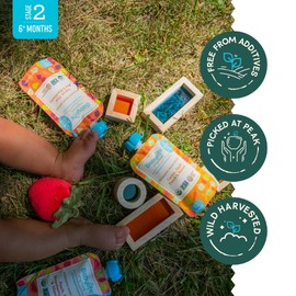 Babylife Organics Stage 2 Organic Baby Food - Carrot, Apple, Peach & Banana, 3.5 Ounce Pouch (6 Pack)