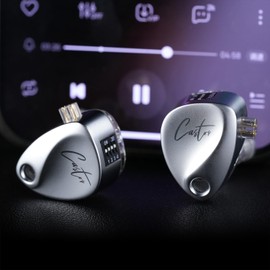 KZ Castor In Ear Monitor, Dual-Dynamischer Treiber, kabelgebundene IEM-Ohrhörer, HiFi In Ear Kopfhörer, Klangabstimmung, geräuschisolierendes IEM, abnehmbares 2-poliges Kabel (Silber, mit Mikro)