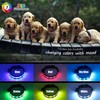 LED Safety Dog Collars - USB Rechargeable 7 Changing Colors