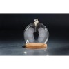 CC Home Furnishings 8.5" Cloche Terrarium Glass Vase