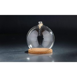 CC Home Furnishings 8.5" Cloche Terrarium Glass Vase