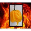 10 Seeds Yellow Carolina Reaper Hottest Pepper on Earth Guinness
