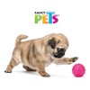 Fancy Pets Pelota Juguete Limpia Los Dientes Colores Surtidos