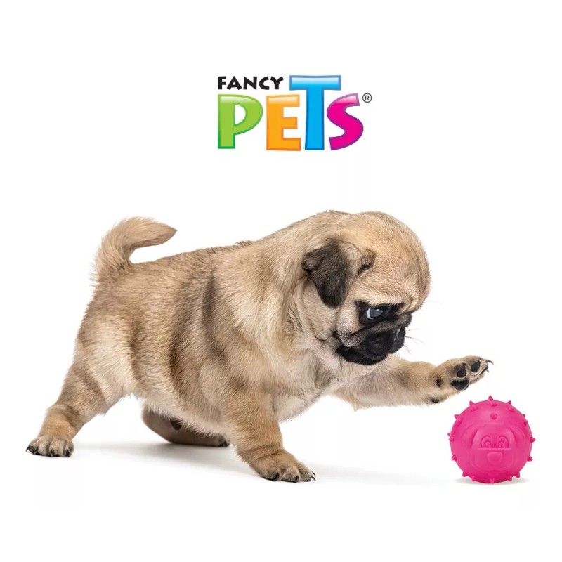 Fancy Pets Pelota Juguete Limpia Los Dientes Colores Surtidos