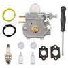 Quaprodur WT-973 Carburetor Kit Replacement for Troy Bilt TB21EC TB22