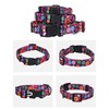 Rhea Rose Girl Dog Collars Fall Daisy Pattern, Colorful Flowers
