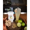 Ginger Reàl Infused Exotics, Ginger Infused Syrup, 16.9 FL OZ