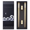 TIICOO Metal Chopsticks Reusable 2 Pairs Titanium Stainless Steel 18/8