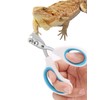 Stainless Steel Bearded Dragon Nail Clippers,Lizard Nail Clippers,Bearded Dragon Supplies,Bearded