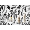 minnade miraio minna de mirai wo rice bran enzyme face