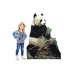 Advanced Graphics Panda Bear Life Size Cardboard Cutout Standup
