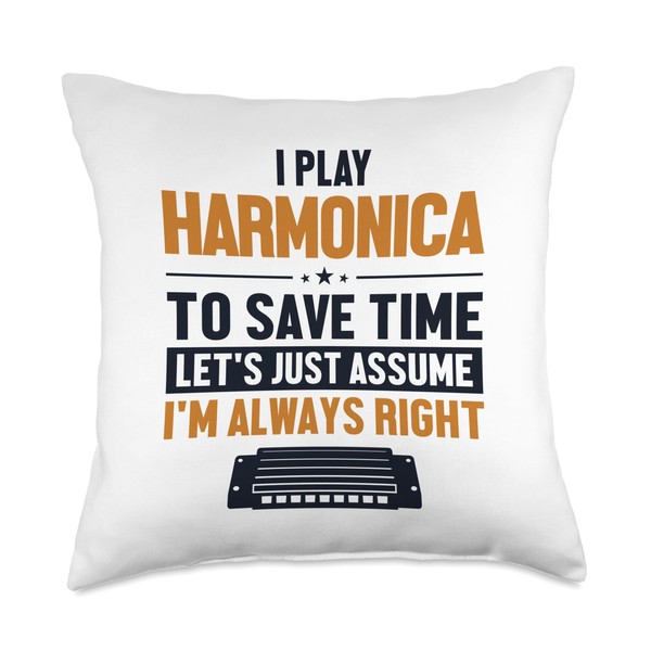 Chromatic Harmonica Accessories Set Beginner Gifts Player Let's Assume I'm