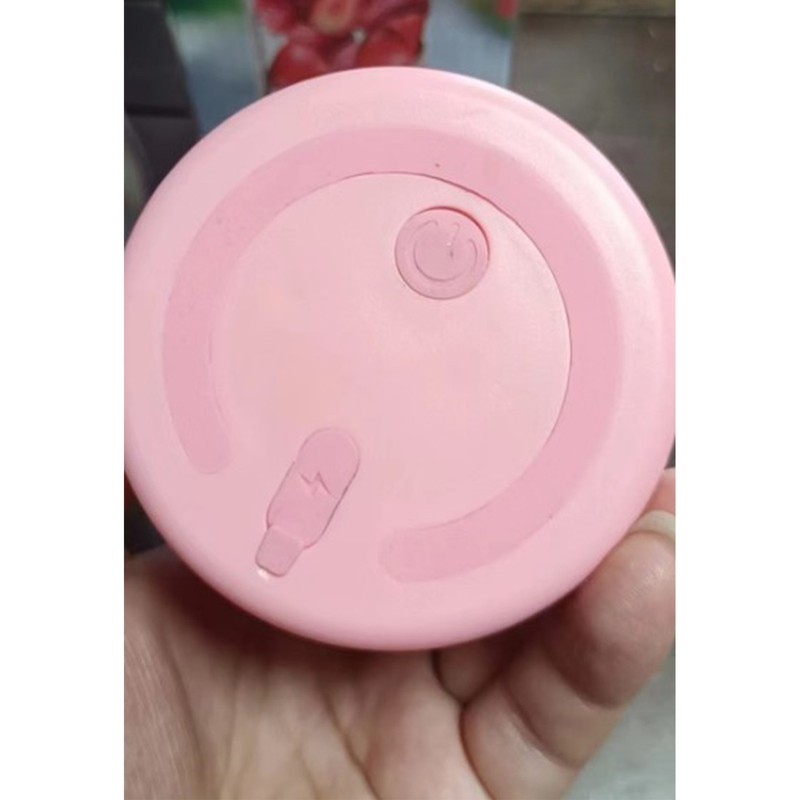 Portable Blender Cute 6 Blades 40W High Power 300ml Rechargeable