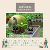 Archnote Gardening Goods, Garden Objects, Garden Objects, Garden Picks, Garden