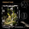 Acrylic Reptile Terrarium Easy Assembly, 360° Clear & Keep Pet