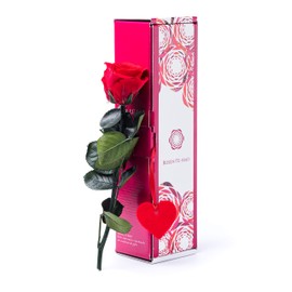 Rosen-Te-Amo | Infinity Rose am Stiel - Rosenduft |Echte Rose "Valentine Edition" in Geschenkbox |Geburtstagsgeschenk für Frauen|Konservierte Blume zum Weihnachten, Valentinstag, Mama, Dekogeschenk