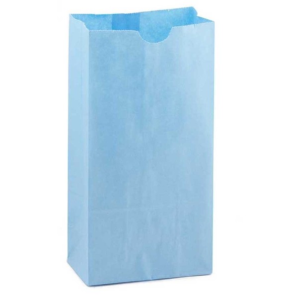 Hygloss Products Light Blue Paper Bags – For Party Favors, Arts, Crafts 4.5 x 8.5 x 2.5 Inch, 100 Pack