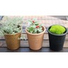 Gardens Eco Pot Series