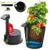 Self-Watering Planter Insert for 5-Gallon Buckets - 3-Pack