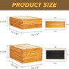 Maybee Hives 100% Beeswax Langstroth Beehive Box With Pine Wooden