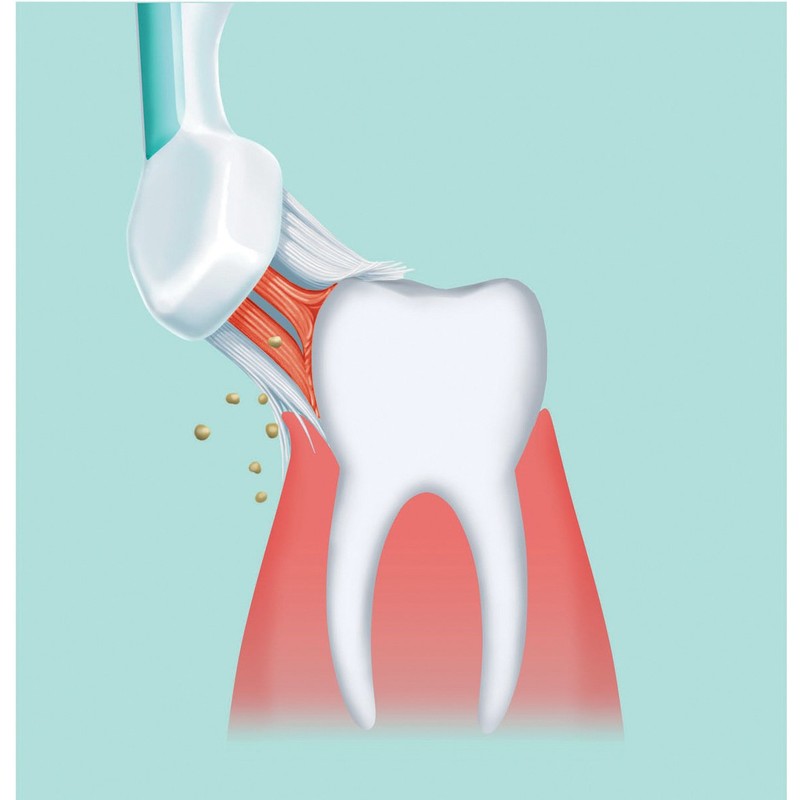 Panasonic EW0911 replacement brushes, 2-Pack