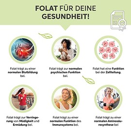 eltabia Bio Weizengras Pulver gemahlen 1kg | Weizengras Pulver aus deutschem Anbau | 100% rein ohne Zus?tze (DE-?KO-007)