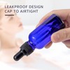 JIUWU 15 Pcs,1 Oz Dropper Bottle,Blue Glass Eye Dropper Bottle