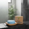 Shampoo Sólido Árbol Verde Bergamota Cola Caballo 50g