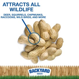 CountryMax Backyard Seeds in-Shell Raw Unprocessed Peanuts 50lbs - Premium Whole Peanuts for Wildlife & Squirrels, Natural Foraging, High Protein