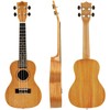 EASTROCK Concert Ukulele Mahogany Beginner 23 inch Ukelele Big Package