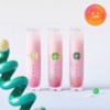 Peripera [페리페라][NEW/핑크하구마] 페리페라 잉크 무드 글로이 틴트 [[소프트베리 컬렉션] 030