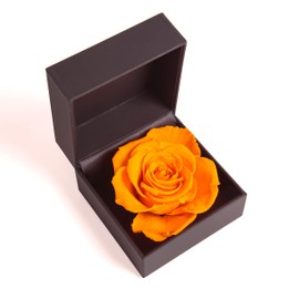 ROSEMARIE SCHULZ Heidelberg Rose Box Infinity Rose Preserved Gift Box Ring Box with Flower (Yellow)