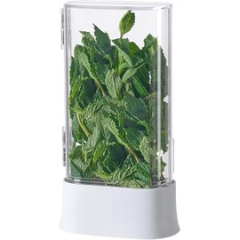 vacane Green Saver Herb Keeper – Refrigerator Storage Container for Cilantro, Asparagus, Fresh Herbs, Dishwasher Safe, Extends Freshness 10 Days
