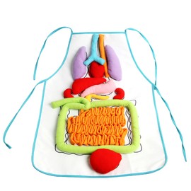 3D Organ Apron Anatomy Apron Human Body Organs Awareness Tool Toy Preschool Home Teaching Aid for Children Cognitive Model Toy