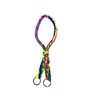 Indian War Bridle rainbow