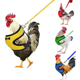 4Pcs Chicken Harness and Leash Set with Adjustable Upgrade and Improvement Breathable Comfortable Chicken, Duck, Goose As Gifts for Festival (Yellow, Pink, Green, Blue, S)