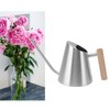 Watering Can with Long Spout Rustproof Stainless Steel Watering Pot