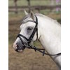 BUSSE Little Bridle