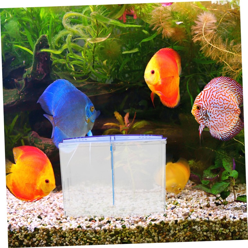 GRIRIW Aquarium Isolation Box Fish Tank Separator Breeding Box for