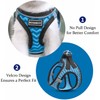 Dog Harness with Leash Set, No Pull Adjustable Reflective Step-in
