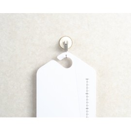 Kawasaki synthetic resin VC colorful's wing board Green VC – C85