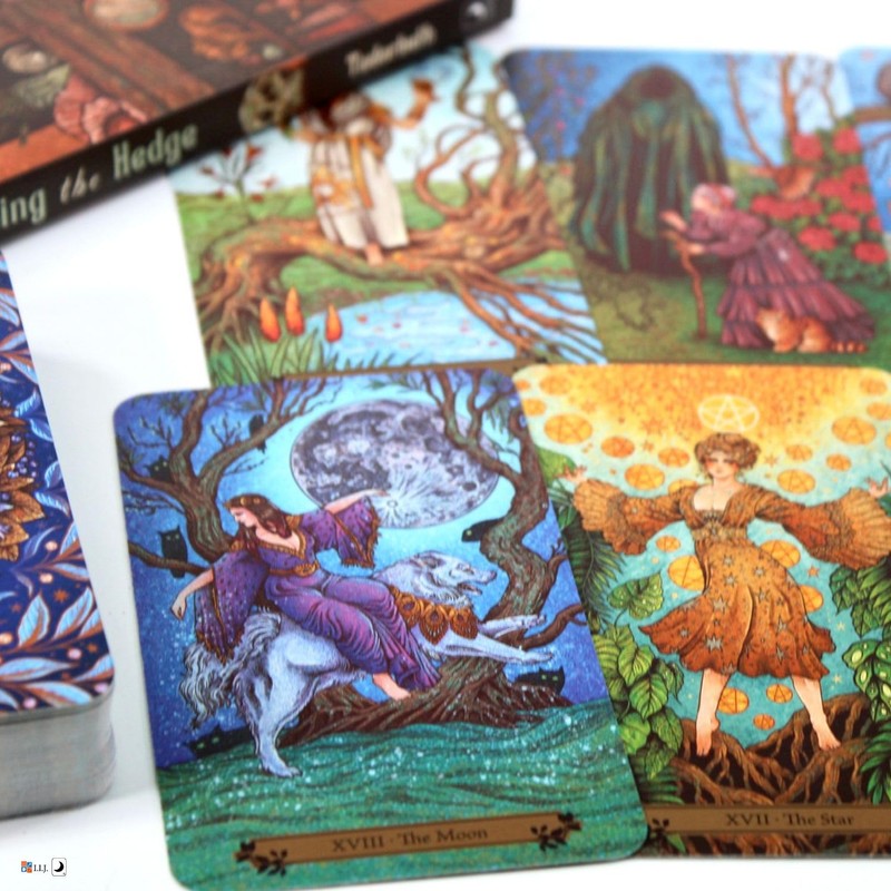 I.I.J Tarot Cards, The Hedgewitch Tarot, Weighted Edition, 78 Pieces,