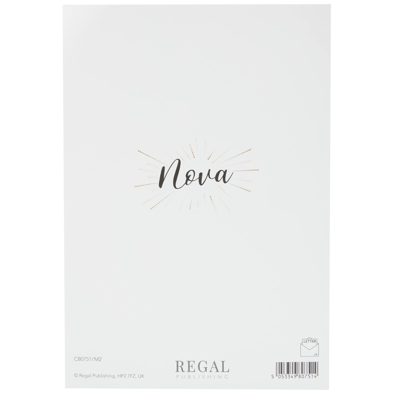 Piccadilly Greetings Regal Publishing C80751 Modern Birthday Card One I