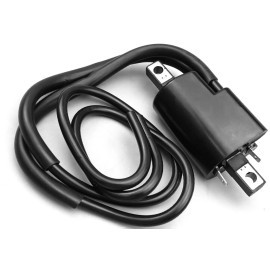 Unbranded Set of 2 Ignition Coil for Kawasaki KZ1000 Police 1000 1978 1979 1980 1981