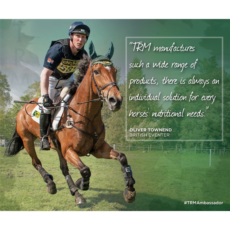 TRM StaySound Leg Clay Nutritional Supplements Remedies for Horses, 5kg